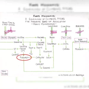 Genealogía de los nudos